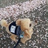 の写真