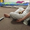 の写真