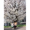 の写真