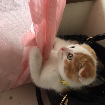 の写真