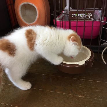 の写真