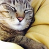 タカシナルミ