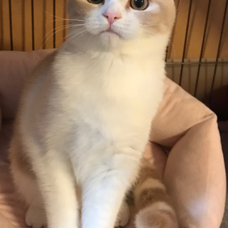 たくさんのご連絡ありがとうございました。