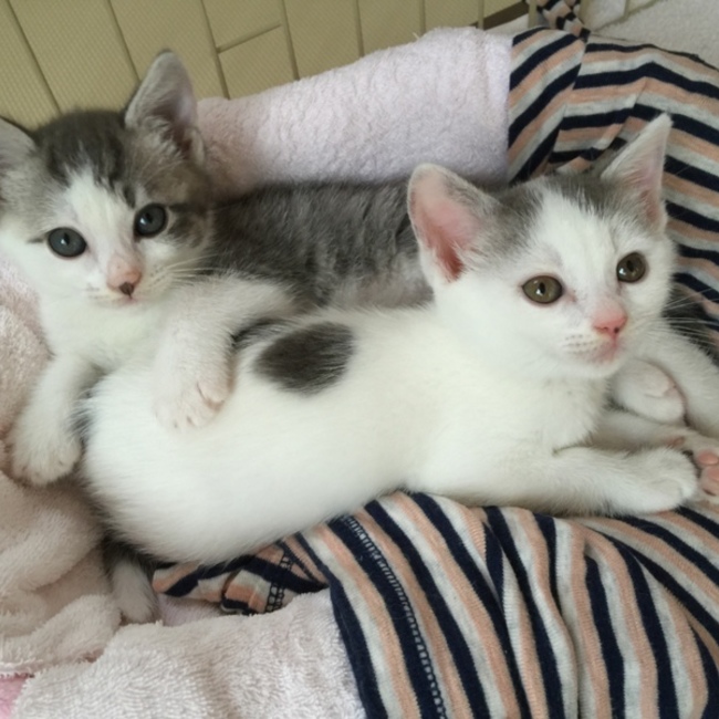 jeyjeyのカバー写真