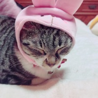 すず
