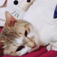 まろ