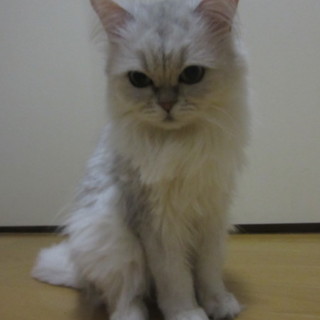 ありがとうございました