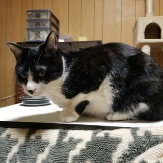 甘えん坊になりそうな、かなくん。