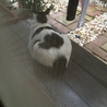 腰の位置に
