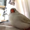 の写真