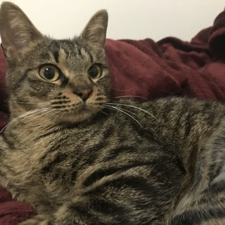 小柄な女の子＊文月