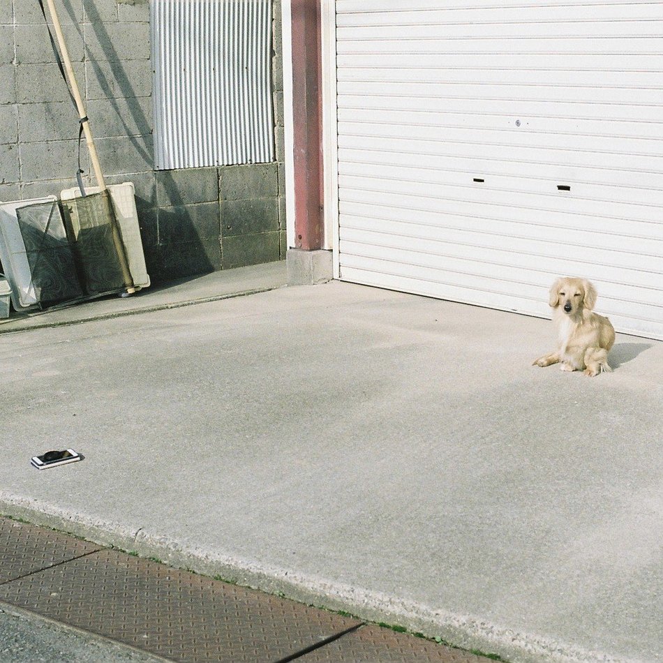 チェルシーのカバー写真