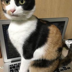 「HAPPY BIRTHDAY スイ！」サムネイル2