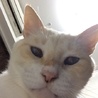 なみとみ