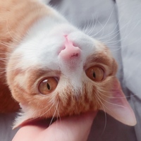 りん