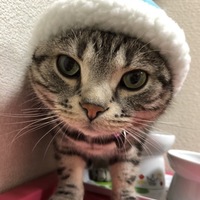 よもぎ