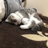 熟睡中