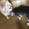 の写真