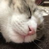 どアップ