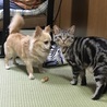 奇跡の一枚