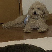 らるむ