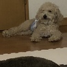 らるむ