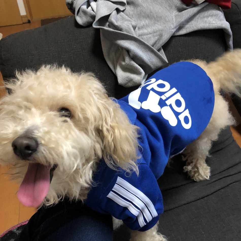 らるむのカバー写真