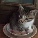 ありがとうございます。マリーちゃん
