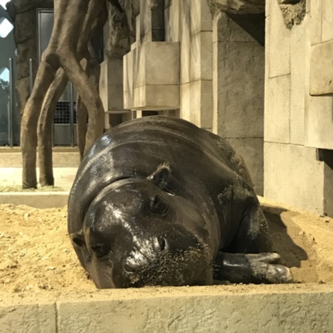 Kei.T6518のカバー写真