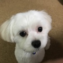 よろしくお願いします