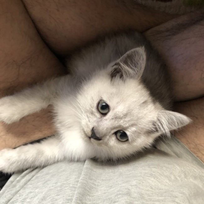 かずくんパパのカバー写真