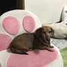 遊びたいなー