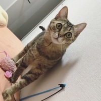 ニト