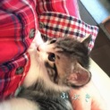 ふぶき ポヤポヤ兄弟1/2
