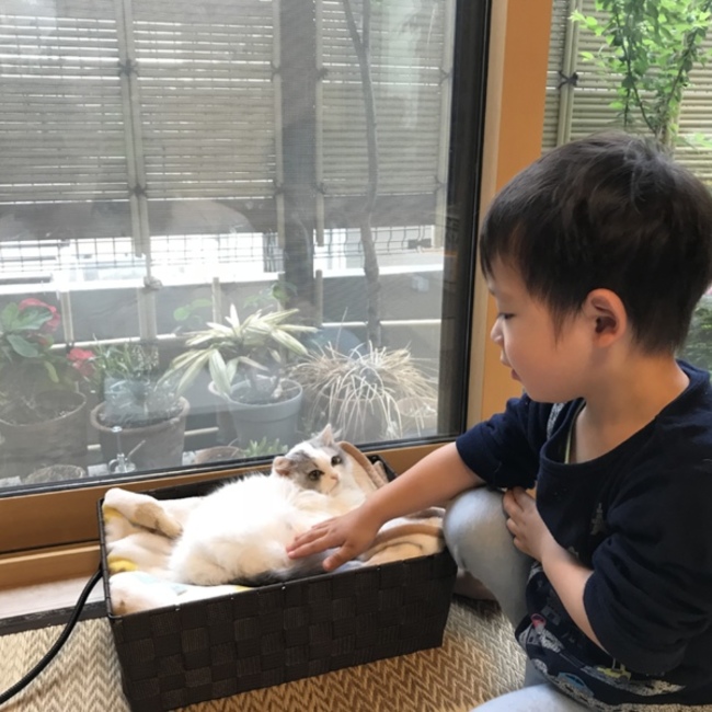 すばママのカバー写真
