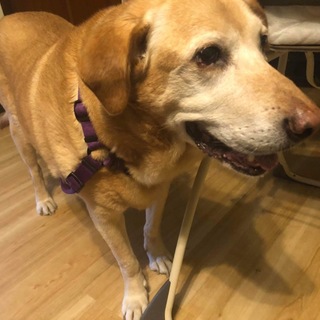 沢山の御応募有難う御座いました