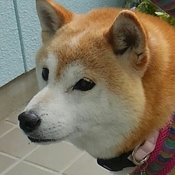 なんか～落ち着くわぁ～～( ´∀｀)その②