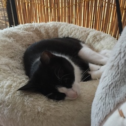 「くまの家出 ∑(ﾟДﾟ)」サムネイル2