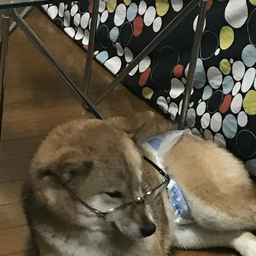 の写真