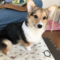 くぅ