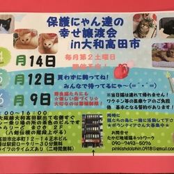 第６回 保護にゃん達の幸せ譲渡会in大和高田市