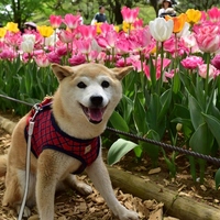 山下旬子