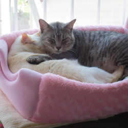 「９ヶ月」サムネイル3