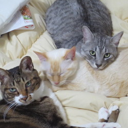 「９ヶ月」サムネイル2