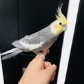 たくさんのご応募、ありがとうございました。