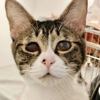 3/24田原町★花子ちゃん★タレ目が可愛い女の子