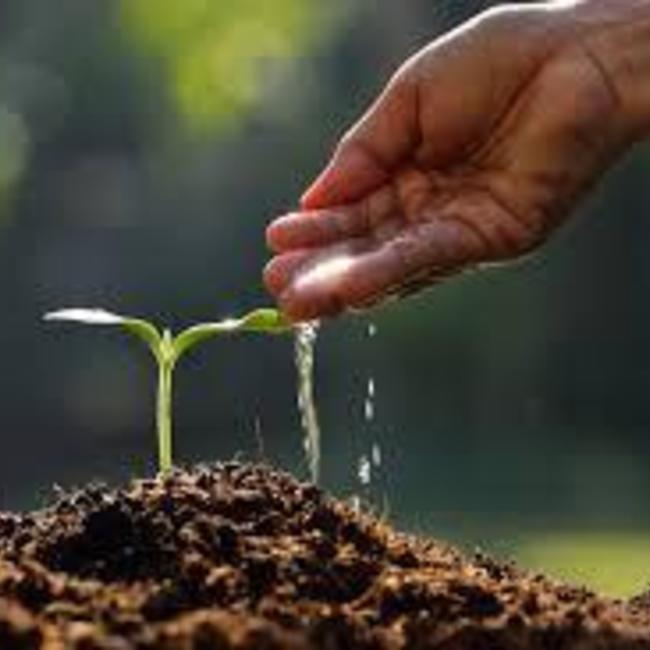 shagobroeggエリのカバー写真