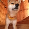 虎太郎