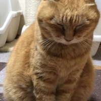 レモン