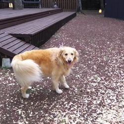 静岡旅行に行ってきました①